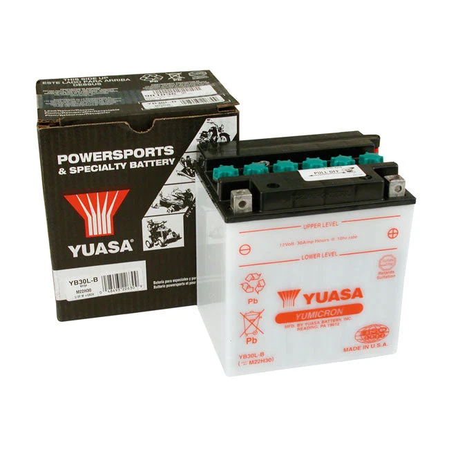Yuasa Yumicron 12V loodzuuraccu 30Ah 300CCA