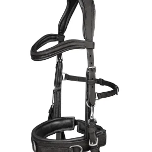 Anatomic Cavesson Zwart X-Full met kleurmatch voor automerk