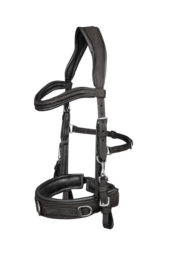 Anatomic Cavesson Zwart X-Full met kleurmatch voor automerk