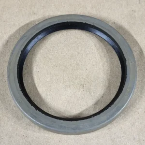 Oil Seal 29865