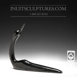 10" Black Loon Ning Ashoona