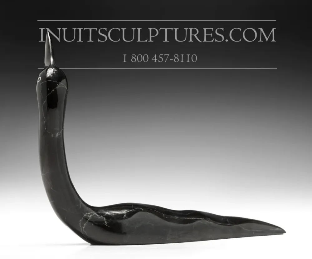 10" Black Loon Ning Ashoona