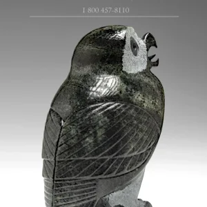 5" Dark Owl Pitseolak (Pits) Qimirpik | Snelle Levering