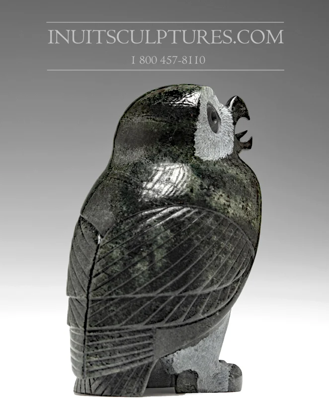 5" Dark Owl Pitseolak (Pits) Qimirpik | Snelle Levering