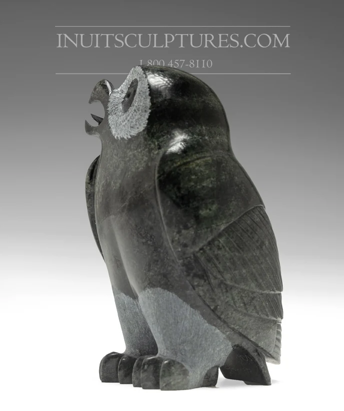 5" Dark Owl Pitseolak (Pits) Qimirpik | Snelle Levering