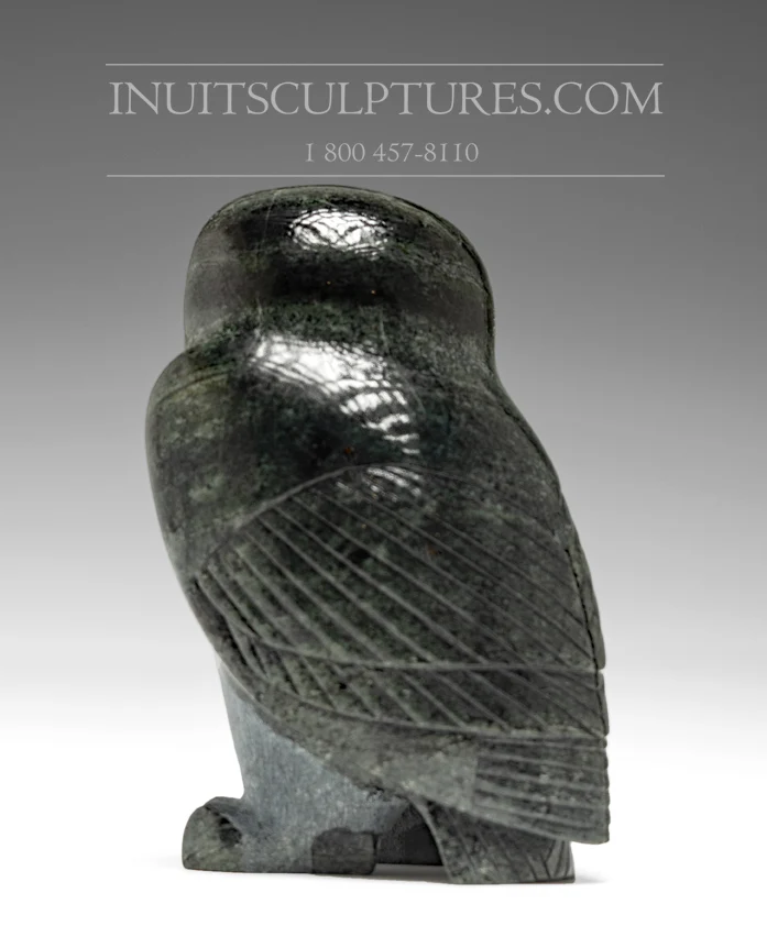 5" Dark Owl Pitseolak (Pits) Qimirpik | Snelle Levering