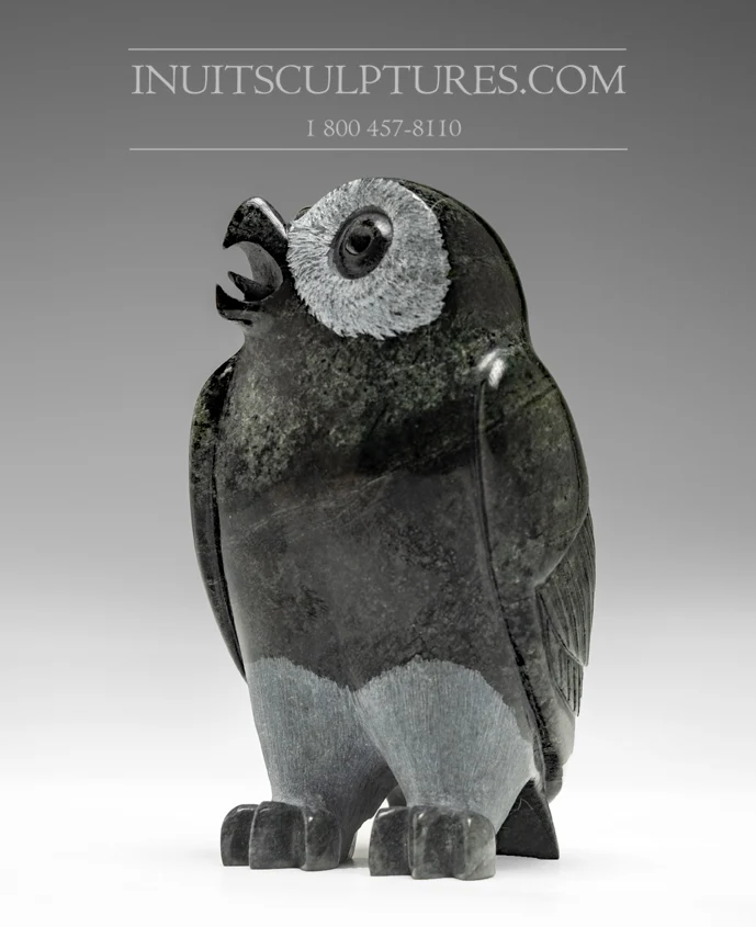 5" Dark Owl Pitseolak (Pits) Qimirpik | Snelle Levering