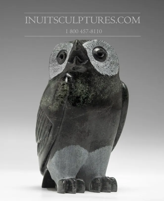 5" Dark Owl Pitseolak (Pits) Qimirpik | Snelle Levering
