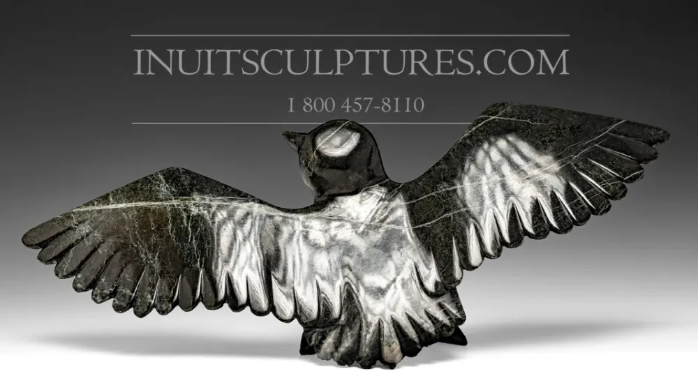16" Hawk Killiktee Killiktee