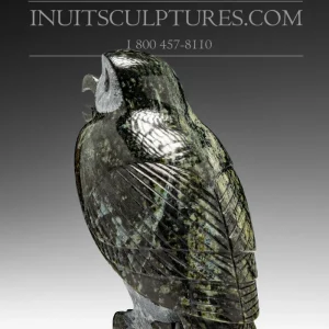 Industrieel Sterk 6" Dark Owl Pitseolak (Pits) Qimirpik