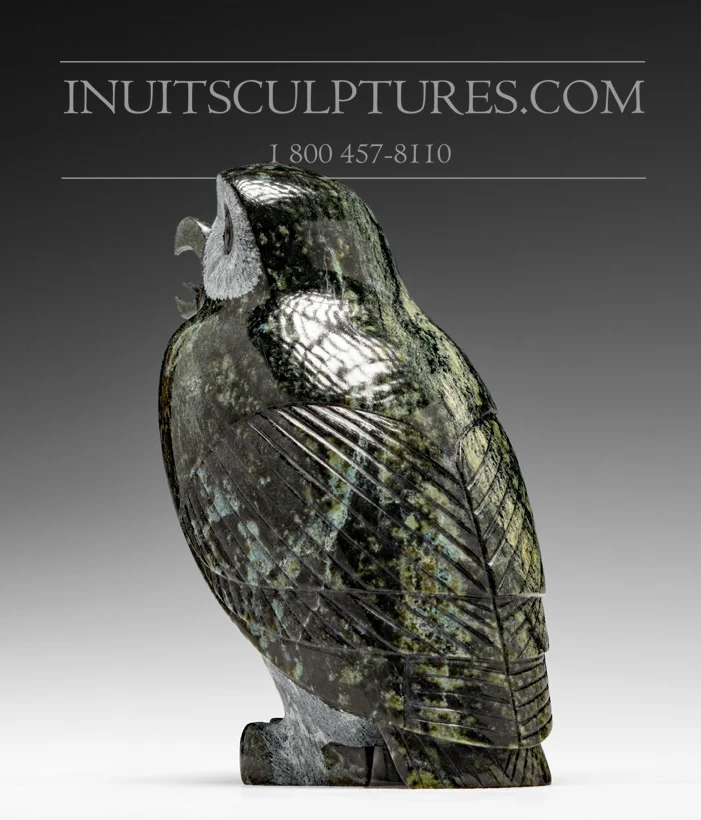 Industrieel Sterk 6" Dark Owl Pitseolak (Pits) Qimirpik