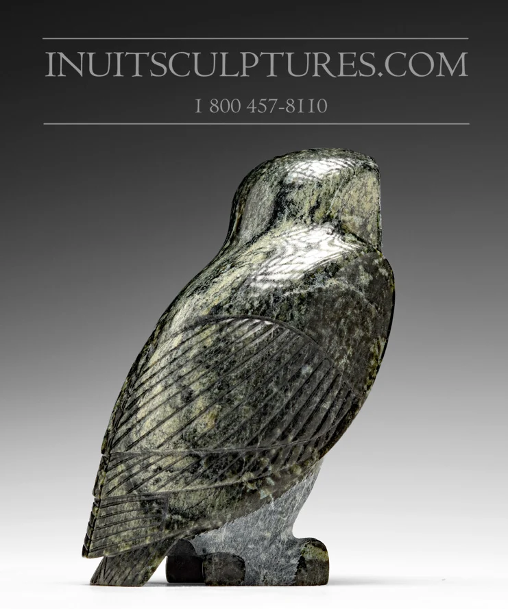 Industrieel Sterk 6" Dark Owl Pitseolak (Pits) Qimirpik