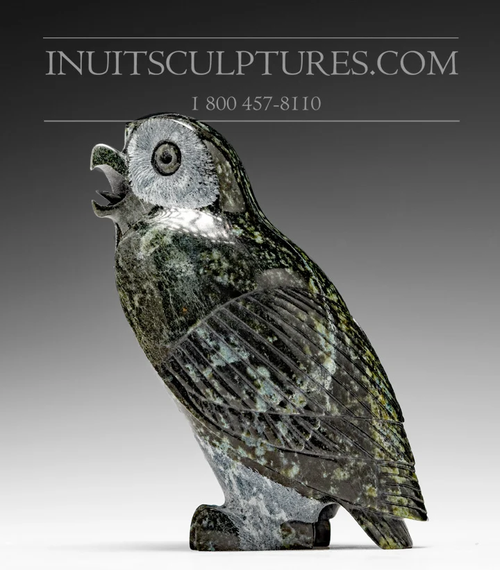 Industrieel Sterk 6" Dark Owl Pitseolak (Pits) Qimirpik