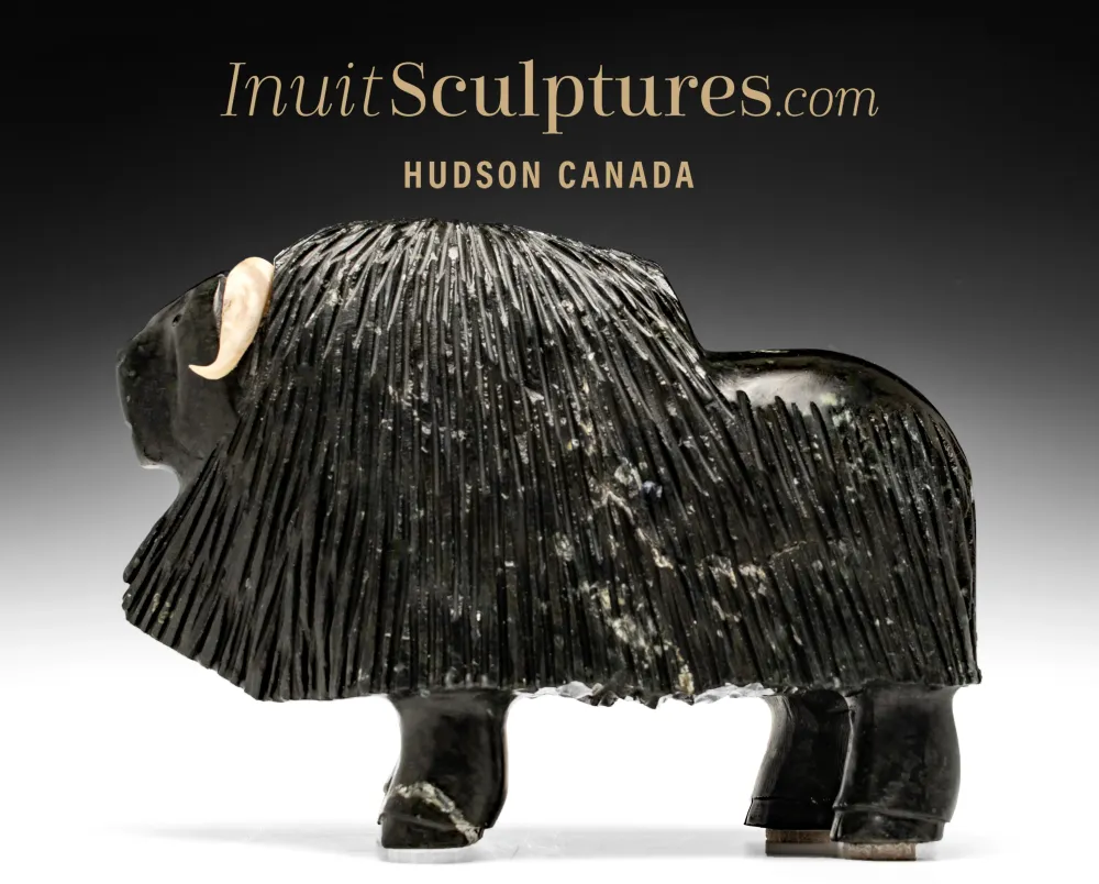 11" Muskox Louie Uttaq Gjoa Haven *Mighty*