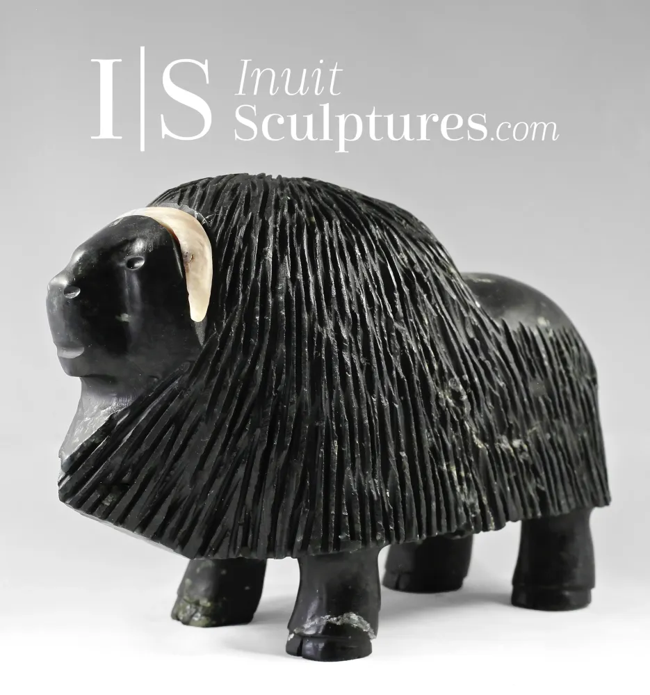 11" Muskox Louie Uttaq Gjoa Haven *Mighty*