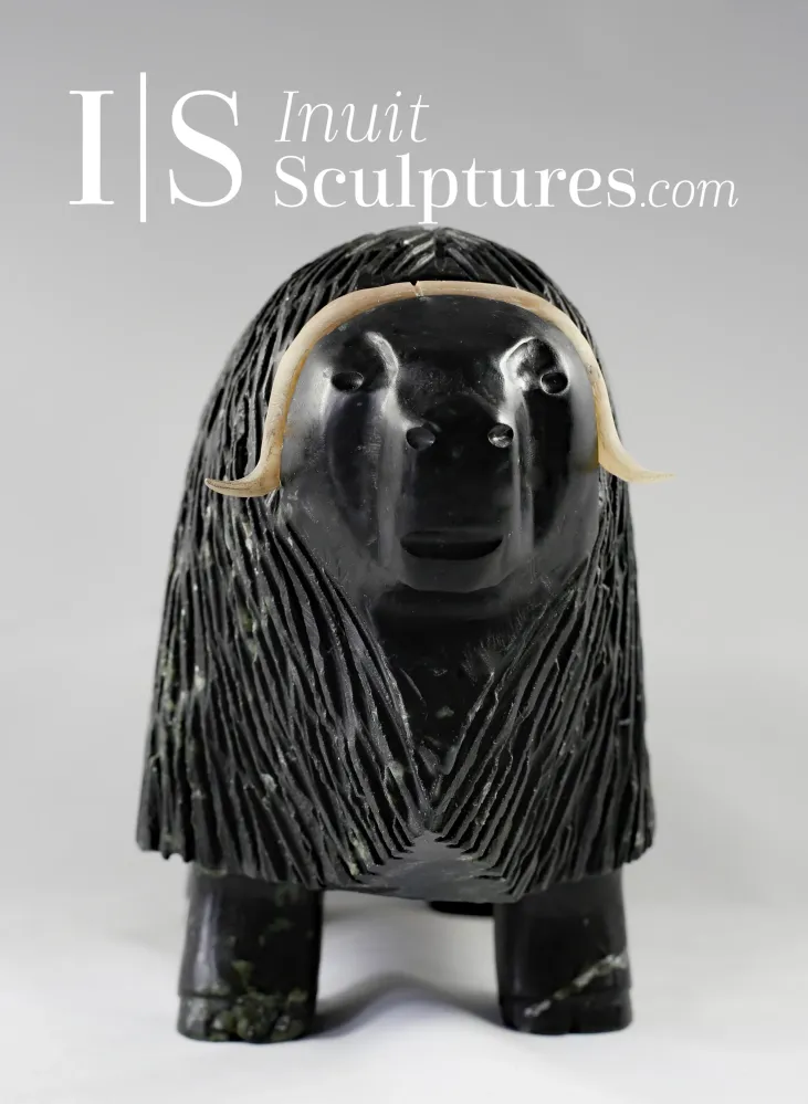 11" Muskox Louie Uttaq Gjoa Haven *Mighty*