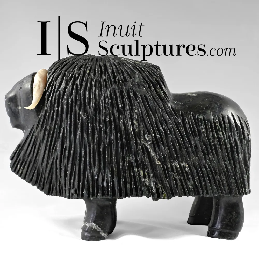 11" Muskox Louie Uttaq Gjoa Haven *Mighty*