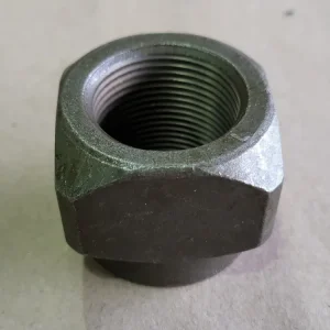 Nut 4189671