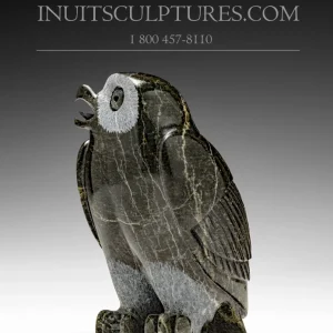 6.5" Owl Pitseolak (Pits) Qimirpik met 2 Jaar Garantie