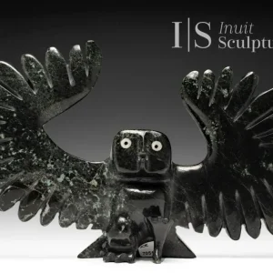 13" Owl Samayualie Akesuk *EEEK!* met CE-Keurmerk