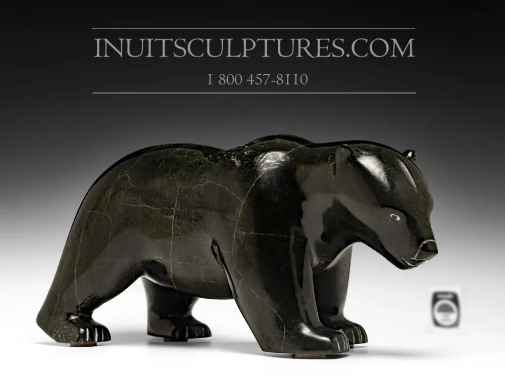 18" Powerful Walking Bear Tuk Nuna