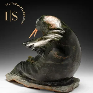 14" Walrus Jaco Ishulutak *Calvin*