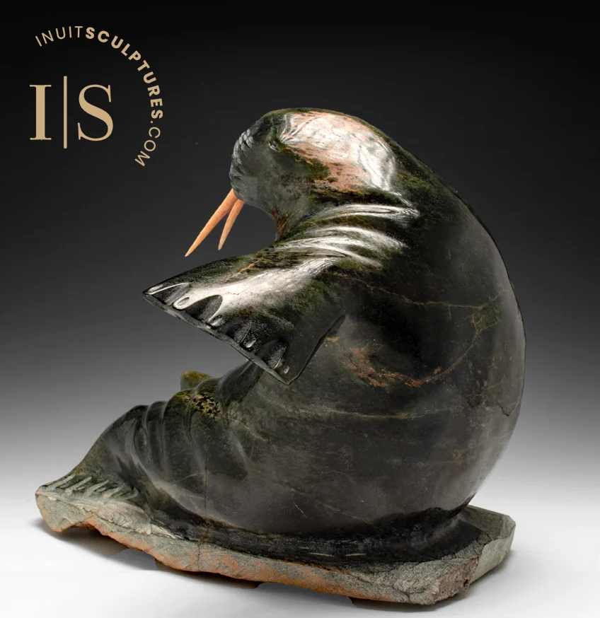 14" Walrus Jaco Ishulutak *Calvin*