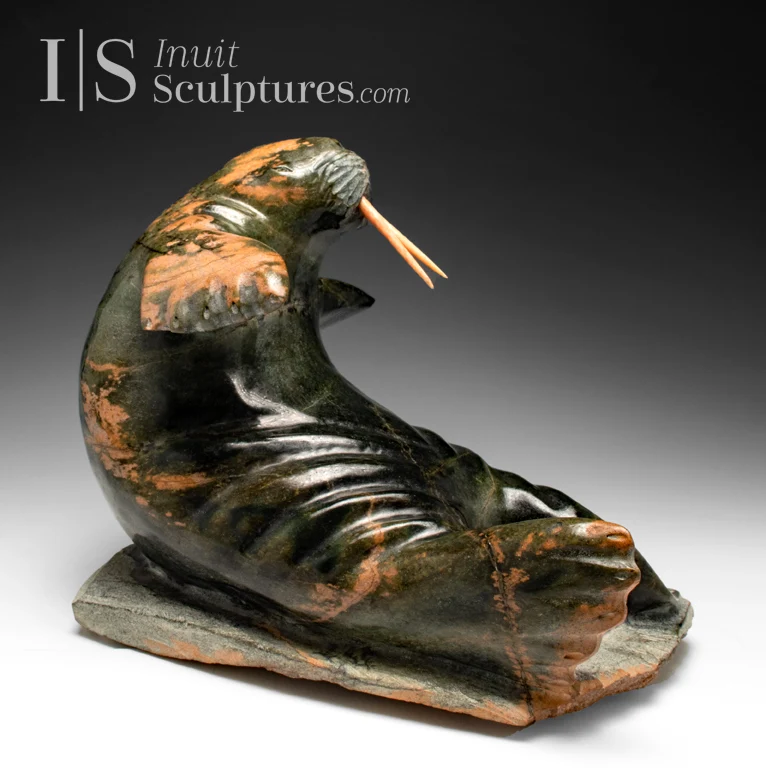 14" Walrus Jaco Ishulutak *Calvin*