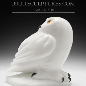 8" White Owl Famous Manasie Akpaliapik